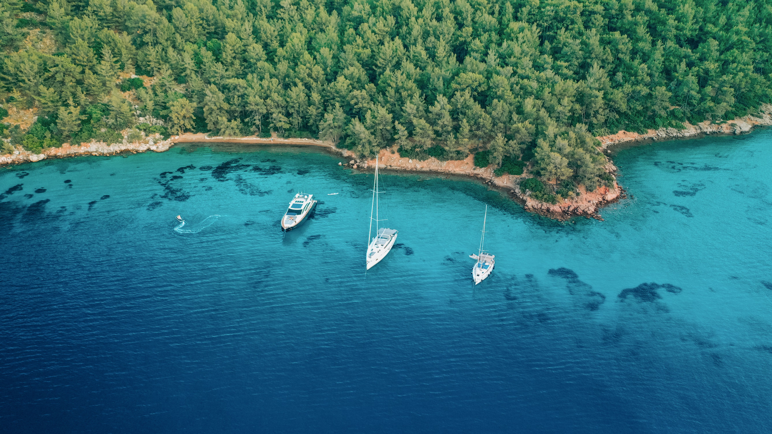 Drone aerial view of yachts and sailboats anchored in clear turquoise coastal waters near a dense green forest shoreline.